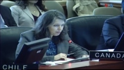 La OEA trata la crisis en Nicaragua