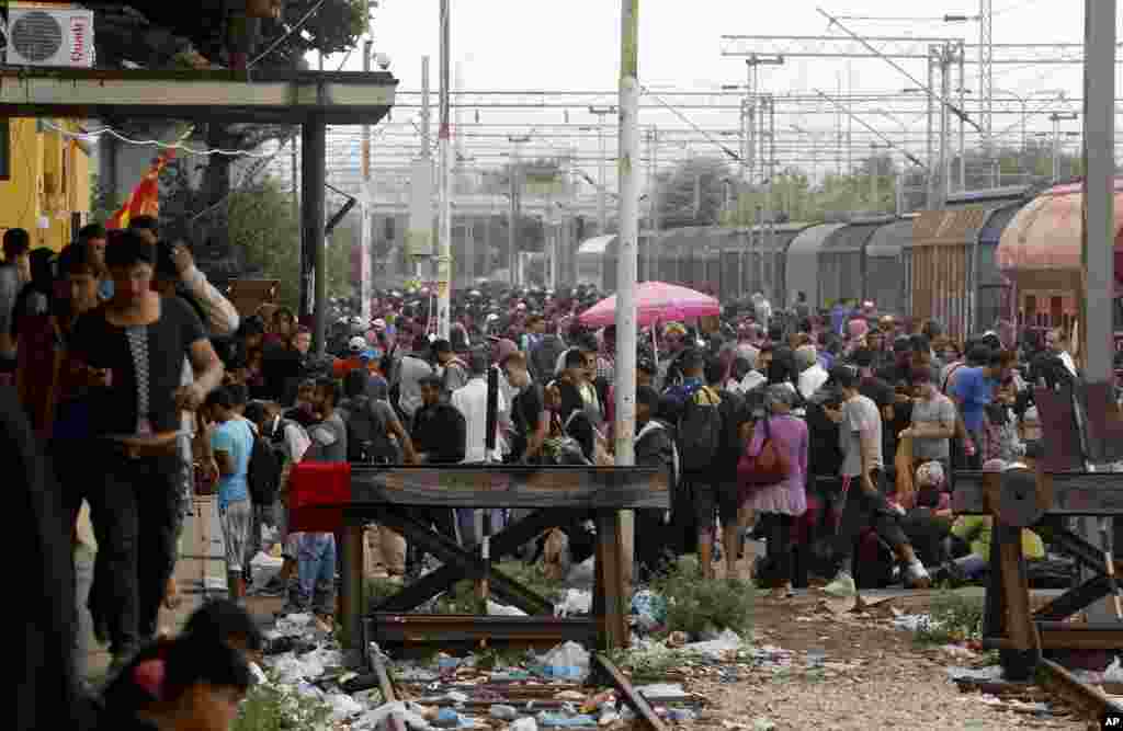 Macedonia Migrants