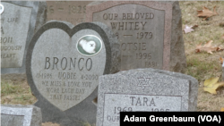 More than 70,000 animals have been buried at the Hartsdale Pet Cemetery in Hartsdale, New York. (VOA)