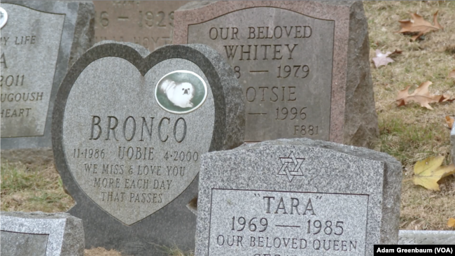 More than 70,000 animals have been buried at the Hartsdale Pet Cemetery in Hartsdale, New York. (VOA)