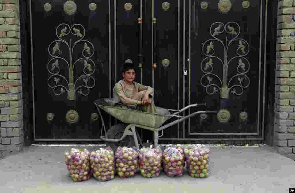 عرضه میوه توسط یک دست‌فروش در محله پغمان کابل، افغانستان