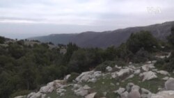 Lebanon Logging USAGM