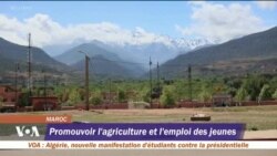 Du travail dans l’agriculture pour les jeunes au Maroc