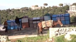 Lebanon Sustainable Innovation -- USAGM