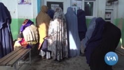 Public Awareness Linked to Rise in Afghan Vaccinations