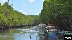 Perahu nelayan kecil yang bisa mengangkut 2 hingga 4 orang di Teluk Ulugan, dekat Laut China Selatan di Bahile, provinsi Palawan, Filipina. (Foto: Simone Orendain/VOA)