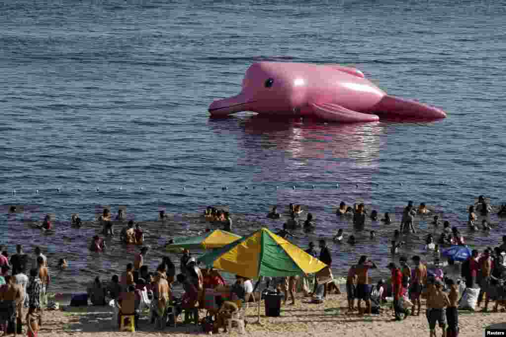 A giant inflatable figure in the shape of a pink river dolphin floats offshore of the Ponta Negra beach along the Amazon river in Manaus, Brazil, July 27, 2014.