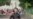16x9 Image