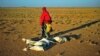 UN: Somalia Needs Urgent Aid to Avert Famine