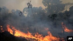 Kobaran api terlihat di sepanjang jalan menuju Hutan Nasional Jacunda, dekat kota Porto Velho, kawasan Vila Nova Samuel, bagian dari Amazon, Brazil, Senin, 26 Agustus 2019.