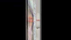 صفحه آخر 02 Nov