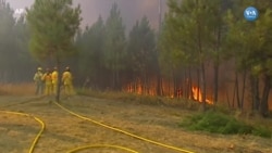 Portekiz’de Orman Yangınları