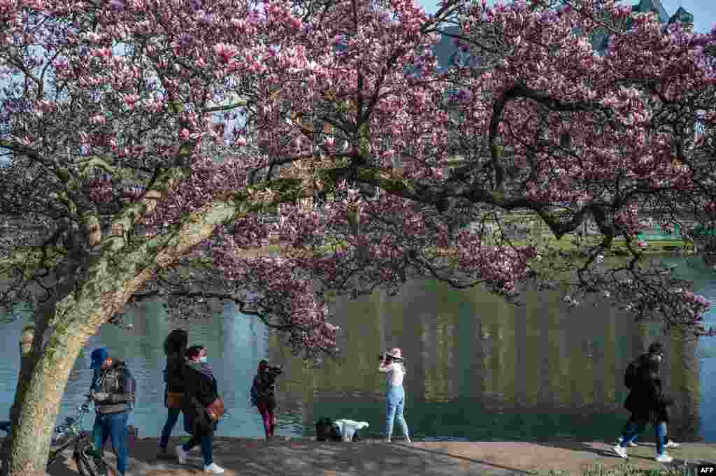 Bahor go'zalliklaridan zavq olib. Fransiya.