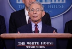 Director of National Institutes of Health Infectious Disease Anthony Fauci speaks to reporters at the White House in Washington, Jan. 31, 2020.