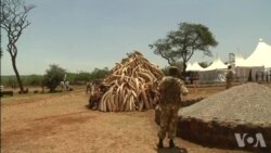 Kenya: Nin Baara Ganacsiga Foolka Maroodiga oo la Dilay