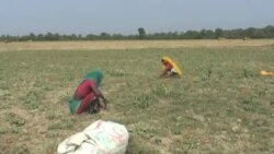 အိန္ဒိယ ရေအရင်းအမြစ် အခက်အခဲ