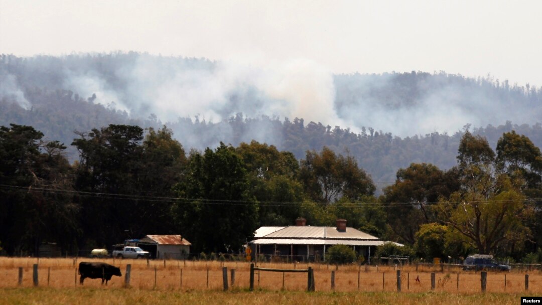 FILE - A cow grazes at a farm close to smoke rising from a bushfire near Toongabbie, Victoria state, Australia, Jan. 24, 2013.