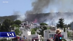 Turqia evakuon turistët e tronditur nga zjarret në Bodrum