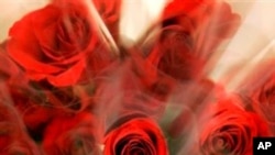 [호기심으로 배우는 역사] 발렌타인 데이