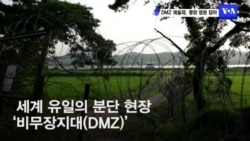 DMZ 예술제, 평화 염원 담아