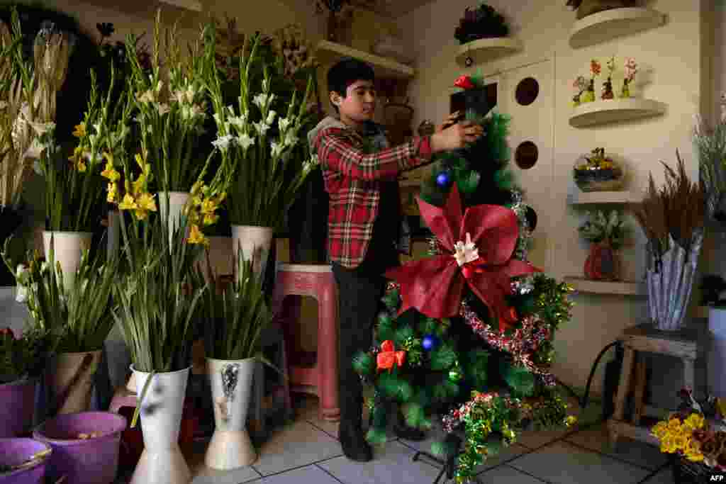 افغانستان کے دارالحکومت کابل میں پھول بیچنے والا دکان دار کرسمس ٹری سجا رہا ہے۔&nbsp; &nbsp;