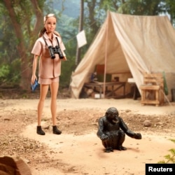 Primatologist Jane Goodall Barbie doll and David Greybeard Chimpanzee along with the accessory products, in Los Angeles, U.S., April 2022.