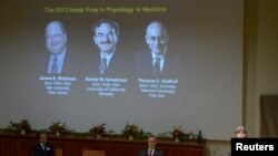 Juleen Zierath (kanan), pimpinan komite penghargaan Nobel bidang Kedokteran atau Psikologi mengumumkan nama-nama para pemenang Nobel Kedokteran tahun 2013 di Institut Karolinska, Stockholm (7/10).