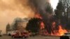 Gobernador de California declara estado de emergencia por incendios 