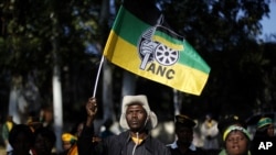 An African National Congress (ANC) supporter holds the party's flag during a march to the Goodman Gallery, in Johannesburg May 29, 2012.