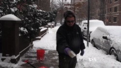 NYC Officials Defend Shutting Down City for Blizzard That Wasn't