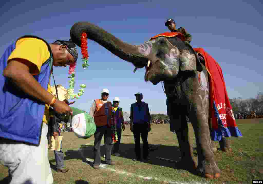 نیپال میں ہاتھی کھیل کے میدان میں
