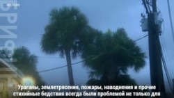 Президенты и ураганы