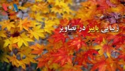 زیبایی پاییز