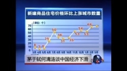 焦点对话：茅于轼何清涟谈中国经济下滑