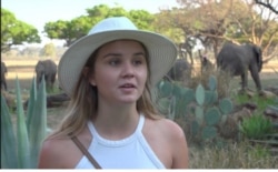 South African tourist Phillipa Meek says she decided to visit the Wild is Life center in Harare after seeing the video online, Sept. 23, 2020. (Columbus Mavhunga/VOA)