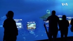 High Tech Aquarium Features Virtual Touch Experience