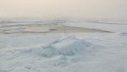 Arktik, ekolozi i naftni giganti