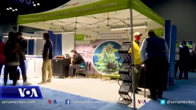 Kongresi Botëror i Kanabisit dhe e ardhmja e industrisë