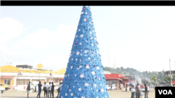 Sapin géant au rond-point Nzeng Ayong a Libreville, Gabon (Photo : Ismaël Obiang Nze)