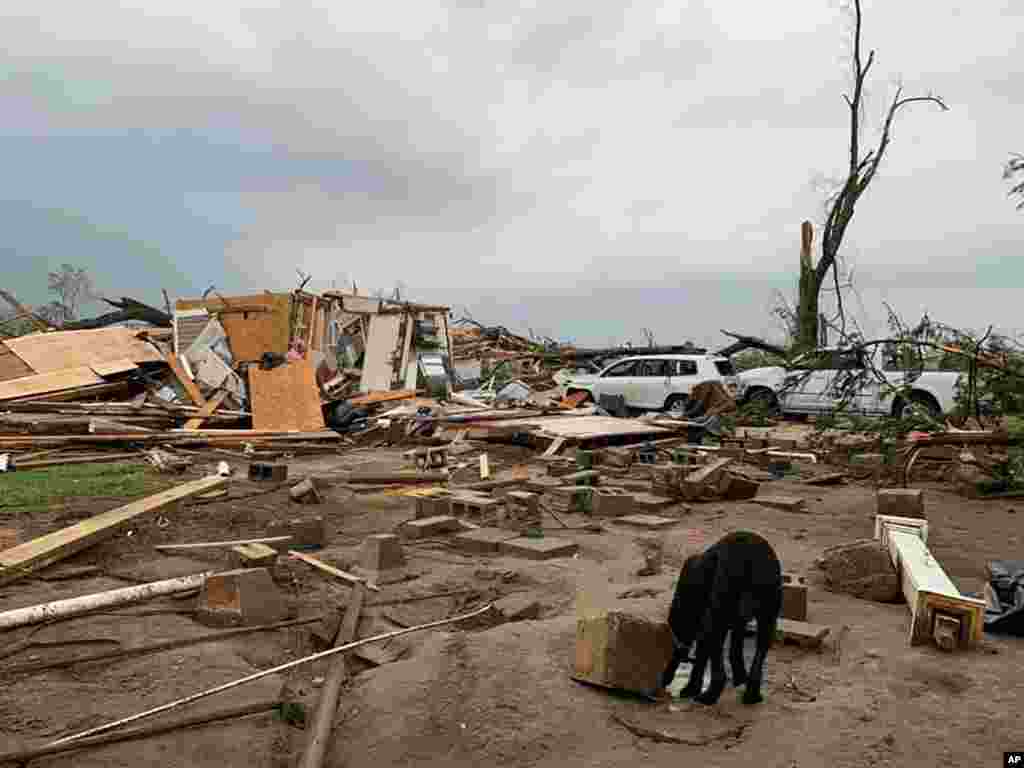 Destroyed homes are seen following a tornado in Moss, Mississippi. Severe weather swept across the South, killing multiple people and damaging hundreds of homes from Louisiana into the Appalachian Mountains.