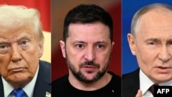 Predsednici SAD, Ukrajina i Rusije, Donald Tramp, Volodimir Zelenski i Vladimir Putin (Foto: AFP)