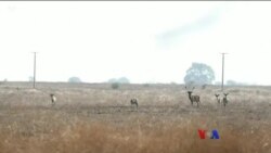 ကမ္ဘာ့သတင်း မီဒီယာတွေထဲက မြန်မာ