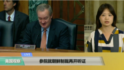 VOA连线：参院就朝鲜制裁再开听证