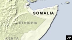 Top Somali Insurgent Killed in Mogadishu