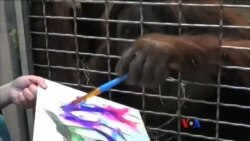 တိရစ္ဆာန်တွေရဲ့ ဖန်တီးမှု အနုပညာ