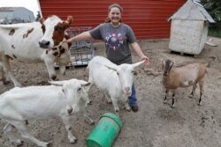 Arrissa Swails poses for a photograph with her cow, Honey, and her goats, Sept. 1, 2020, near Jenera, Ohio.