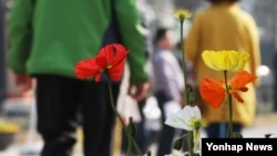 포근한 봄 날씨가 이어진 16일 가벼운 옷차림을 한 시민들이 시청 앞 서울광장을 지나고 있다.