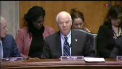 اخبار شبانگاهی