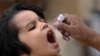دیني عالمان: د پولیو واکسین 'حرام' نه دی