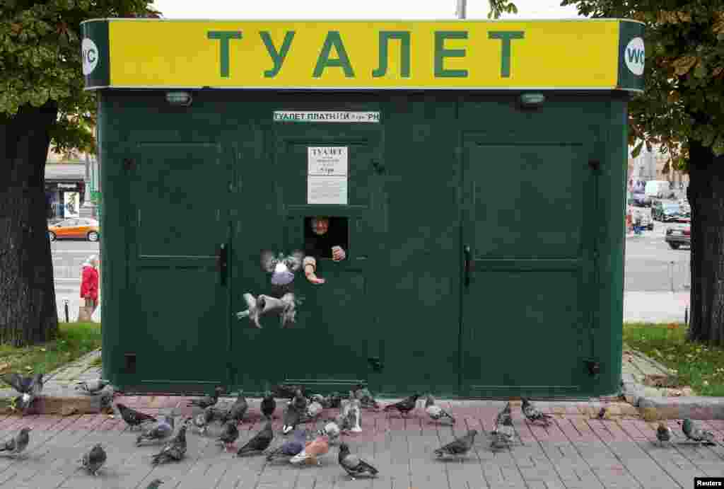 A cashier feeds pigeons and waits clients as she sells tickets to a public toilet in central Kyiv, Ukraine.